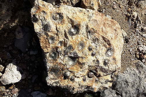 20140427_162908.jpg