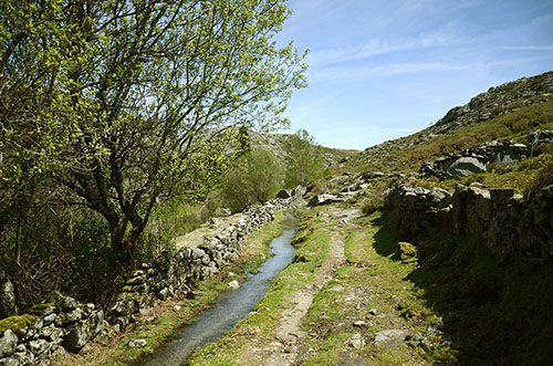 DSC_7442.JPG