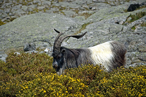 DSC_7477.JPG
