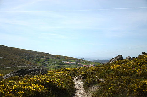 DSC_7500.JPG
